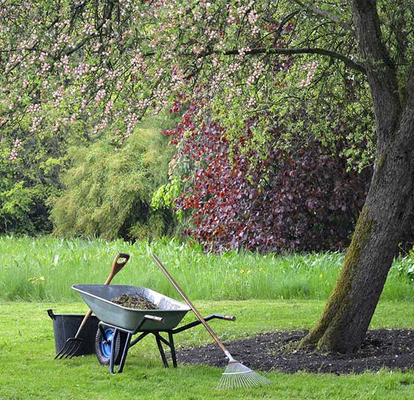 Gartenpflege für alle Jahreszeiten